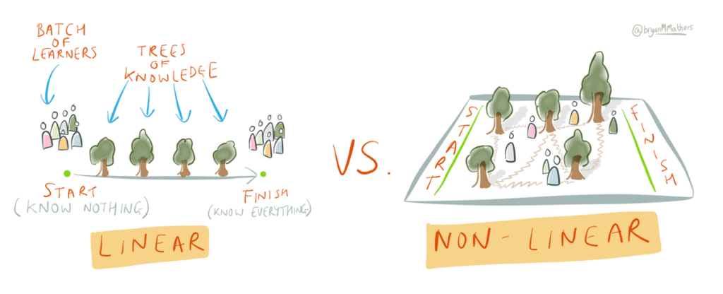 Linear versus nonlinear thinking