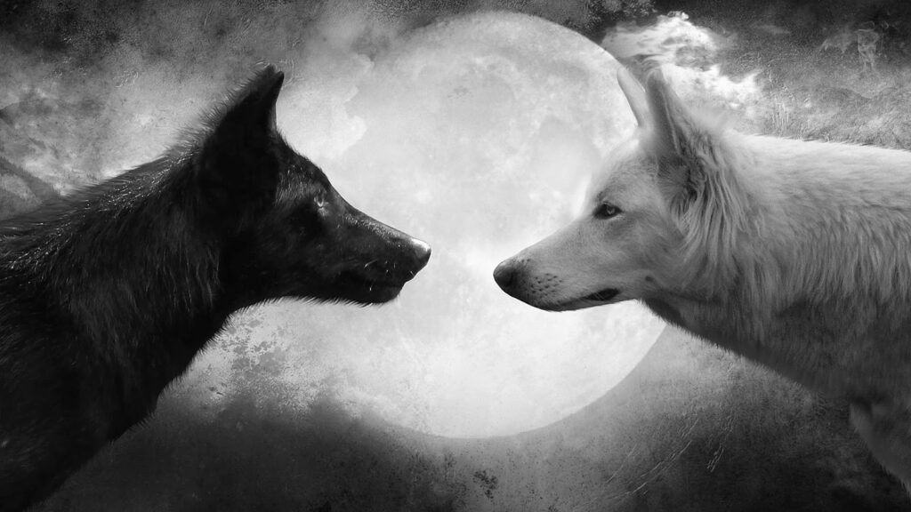 two-wolves